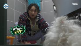 구성환의 월동 준비🧼 꽃분이 감독 하에 꼼꼼히 세척, MBC 251128 방송