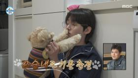 몽드 꼬순내로 깨우는 아침🐶 반려견 아침밥 주는 서범준, MBC 251128 방송