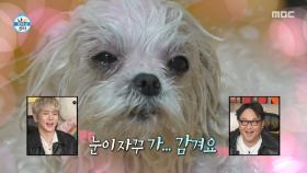 목욕하다 조는 꽃분이💤 능숙하게 목욕시키는 구성환, MBC 251128 방송