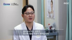 비염 증상 완화에 도움을 주는 삼백초 추출물, MBC 251130 방송