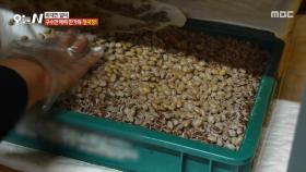 콩을 삶고 숙성시키는 과정🫘 맛있는 청국장의 비밀은?! , MBC 251202 방송