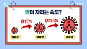 암세포가 복리로 커졌다?, MBC 251202 방송