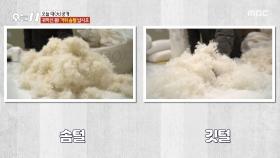 복원력과 보온력의 상관관계🔥 거위털과 깃털의 차이는?, MBC 251203 방송