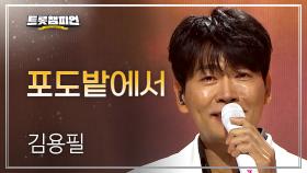 [팬ON스타] 김용필 - 포도밭에서 l 트롯챔피언 l EP.76