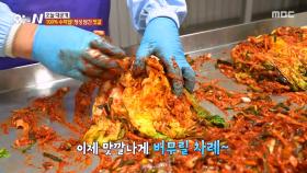 젓갈 공장 김장 시즌!😆 킥은 바로 황석어젓?!, MBC 251211 방송