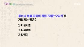 우리말 나들이 - 나풀거림/나부랭이/나방이, MBC 251218 방송