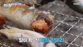 추울 때 먹으면 더 맛있다⛄ 알이 꽉 찬 고소한 양미리 구이😋, MBC 251218 방송
