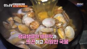 국물 한 입에 감탄🔥 탱글탱글 바지락 손칼국수🦪, MBC 251222 방송