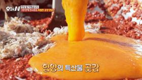 마을 어르신께 전수받은 특별한 김장 양념은?🤫, MBC 251223 방송