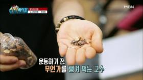 4개월 만에 내장비만을 잡는다?! 고수의 비법!