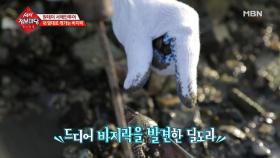 구경하고 체험하고 맛보는데 최고인 당진!!