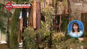 각양각색 식물로 가득 찬 카페?! 정원처럼 꾸며진 플라워 카페!