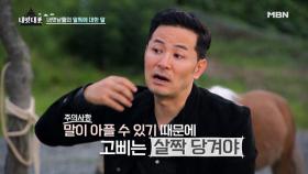 [김창옥의 공감톡2]고삐도 적당히 조여야… 오랜 사회생활로 창옥이 깨달은 것