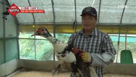 귀한 것만 키우는 부부가 있다?