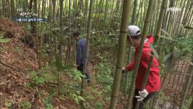 산골에 사는 죽순이, 죽돌이!