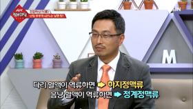 불임의 절반은 남성이 원인?! 정계정맥류가 불임을 유발하는 이유는?