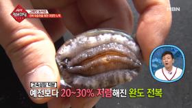 비싸다고 알려진 전복! 최근 저렴해진 이유는 무엇일까?