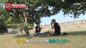 문화유산을 보며 즐기는 피크닉! 야외 카페로 즐긴다?!