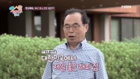 김수미, 한채영. 부산시장피셜! ‘한국에서 제일 좋은 댕댕이 집!’