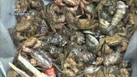 단 2분 만에 득템이 이 정도!