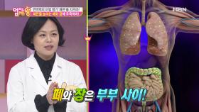 폐와 장은 부부 사이? 체온을 높이려면 폐와 장에 주목하라!