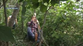 자연인의 톰소여 따라잡기!