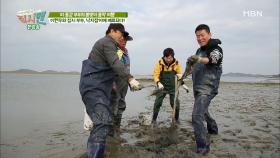 갯벌이 준 선물! 낙지잡이에 매료된 이현우와 집시부부!