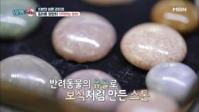 이본. 소중함을 영원히 간직할 방법.. 메모리얼 스톤