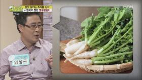 알토란 꿀팁! 좋은 열무 고르는 방법은?!