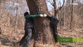 자연인이 산에서 살면서 자연의 위대함을 느끼게 되는 부분은?