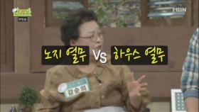 노지 열무VS하우스 열무 어떤 점이 다를까요?