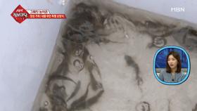 도라지 청 말고 진짜 보양식이 있다는데...?