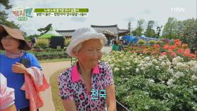 꽃향기 물씬~ 형형색색 장미꽃밭 나들이