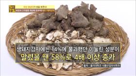 30kg 감량과 고지혈증 극복 비법이 말린 돼지감자?