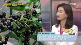 연예인 대표 동안 박소현씨의 동안비법은 마키베리다?