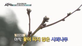 [최초 공개] 엄청난 규모! 배우 윤지민 엄마의 과수원 첫 방문하다