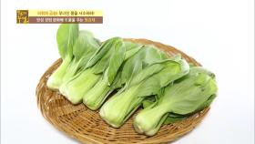 만성장염 잡는 식재료가 중국 배추?
