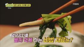 열무김치를 빨리 익게 하는 비법재료는?