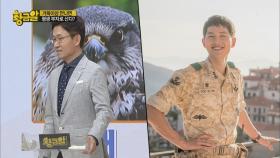 송중기는 사실 개상(?)이지 말입니다