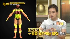 뱃살, 내장지방이 훨씬 더 위험하다?