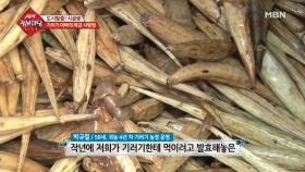 귀농부부만의 건강하고 깨끗한 기러기 사육 비법은?