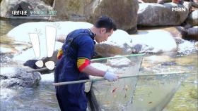 소통 전문가 김창옥, 물고기와의 소통으로 어신으로 거듭난 사연