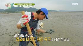 갯벌 경력 74년 차! 어머니의 실전 노하우~!