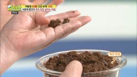 된장이 맛없어지는 이유?