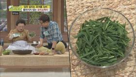부추를 많이 넣었더니.. 오이소박이가 익지 않았다?! 오이소박이 맛을 좌우하는 부추의 비밀은?
