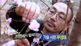 239회 다시, 아버지의 이름으로. 자연인 윤용오