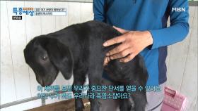 산양 희망이의 남편이 흑염소?!