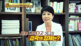 간과 혈관 건강 지키는 바다의 불로초?