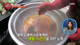 그의 새에 대한 애정은 사료에도 듬뿍 들어간다??