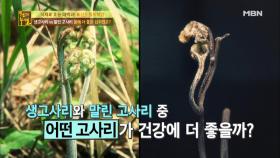 생고사리 VS 말린 고사리 몸에 더 좋은 섭취법은?